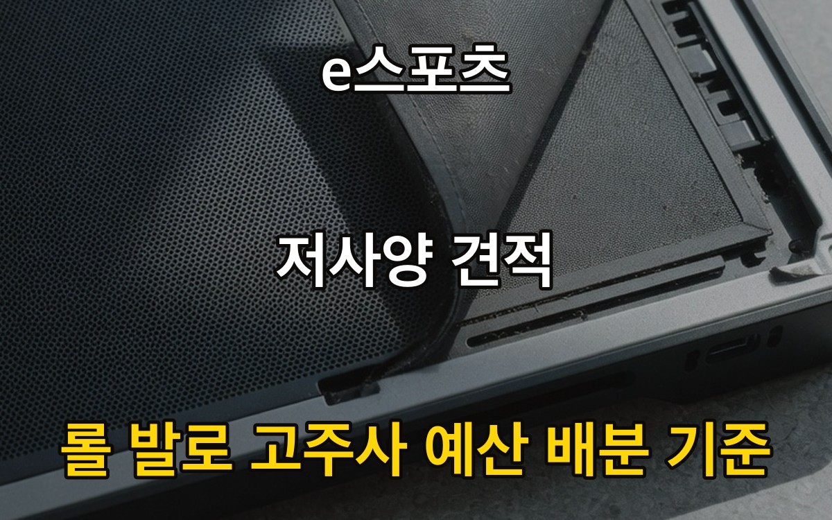e스포츠 저사양 견적 - 롤 발로 고주사 예산 배분 기준