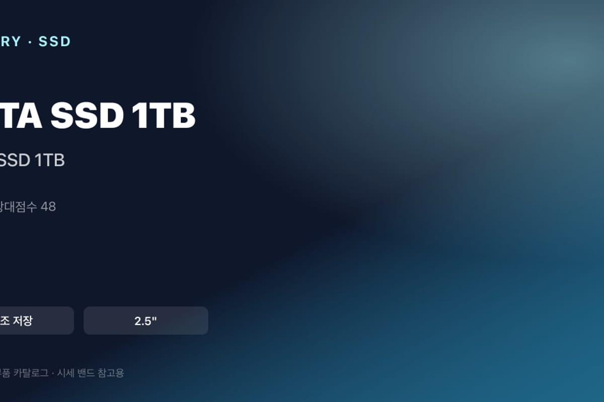 SATA 1TB 예시 | NVMe와 보관 칸 분리
