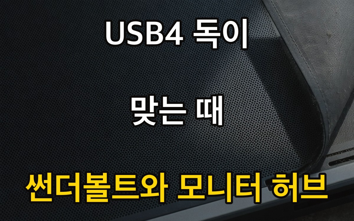 USB4 독이 맞는 때 | 썬더볼트와 모니터 허브